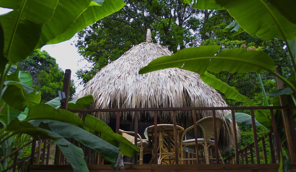 Tayrona Paradise Villa El Zaino Exterior photo
