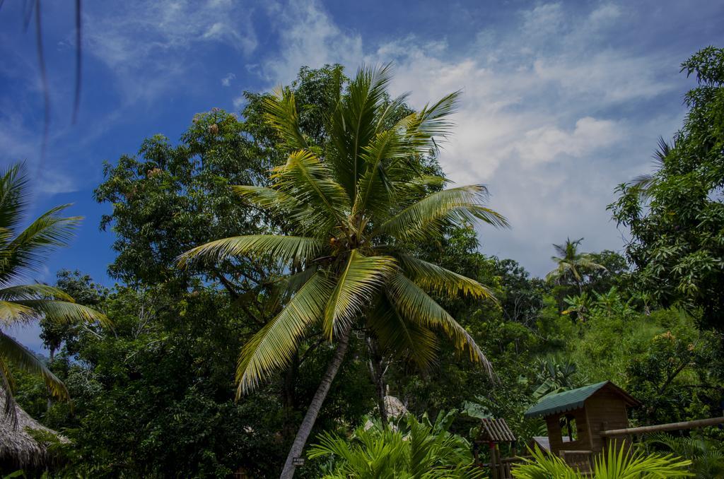 Tayrona Paradise Villa El Zaino Exterior photo
